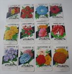 Lot of 12  1950's - FLOWER Seed Packets - Lone Star - EMPTY