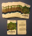  Lot of 100 Old Vintage LETTUCE Mignonette Vegetable SEED PACKETS EMPTY