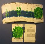  Lot of 100 Old Vintage - LETTUCE - Oakleaf - SEED PACKETS - EMPTY