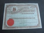 1890's CHARLESTOWN MINING MFG. and IMPROVEMENT Co. - Stock Certificate - WVA.