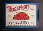 Lot of 25 Old Vintage 1940's ROSEFRUIT Red Raspberry CAN LABELS - North Rose NY