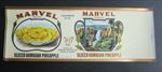 Lot of 25 Old Vintage 1920's - MARVEL - Hawaiian Pineapple - CAN LABELS - Ill.