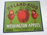  1940's - HY LAND KIDS - APPLE Crate LABEL - Cowiche WASH. - Bushel