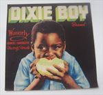 1940's - DIXIE BOY - Florida Citrus - LABEL - Waverly FL.