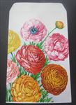 1950's - Ranunculus - BUTTERCUP - Flower Seed Packet - LARGE SIZE - 5 x 8