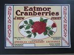  Lot of 50 Old Vintage 1930's - AMERICAN BEAUTY - CRANBERRY LABELS 