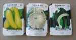  Lot of 150 Old Vintage - SQUASH - SEED PACKETS - EMPTY - 3 Different