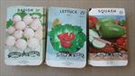  Lot of 150 Old Vintage SQUASH - LETTUCE - RADISH - SEED PACKETS  EMPTY