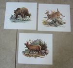 Lot of 3 Old Vintage 1970's - Louis Raymer - WILDLIFE ART PRINTS - Bear Elk Deer