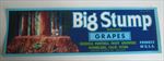 Old Vintage - BIG STUMP - Grape Crate LABEL - Woodlake CA. - REDWOOD TREES 