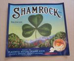  lot of 50 Old Vintage 1930's - SHAMROCK - Sunkist ORANGE LABELS - CA.