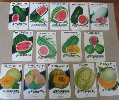 WATERMELON & CANTALOUPE EMPTY Lot of 14 Old Vintage Melon SEED PACKETS
