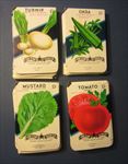  Lot of 200 Old Vintage Vegetable SEED PACKETS - 15 cent - EMPTY - 4B