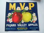  Old Vintage 1940's - MVP - Apple Crate LABEL - Watsonville CA. 
