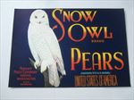  Old Vintage - SNOW OWL - Pear Crate Label - Yakima Wash. - Blue 