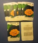 Lot of 25 Old Vintage 1940's SQUASH - Acorn - Vegetable SEED PACKETS 
