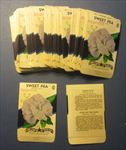  Lot of 50 Old Vintage 1940's SWEET PEA - Blue - FLOWER SEED PACKETS