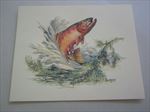 Old Vintage Wildlife PRINT - TROUT - Fish - Fred Sweney - Heavily Embossed 