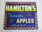  Lot of 50 Old Vintage - HAMILTON'S - Apple LABELS - Wenatchee WASH.