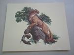 Old Vintage Wildlife PRINT - MOUNTAIN LION - Fred Sweney - Heavily Embossed 