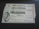 Lot of 10 Old 1900's - City of GREAT FALLS Montana - Treasurer Pay Documents 