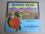  Lot of 50 Old Vintage - BONNY BRAE - ORANGE LABELS - Exeter CA.