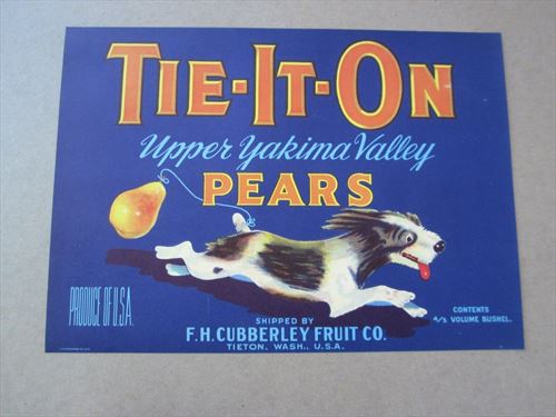 Old Vintage - TIE IT ON Pear LABEL - DOG - F.H. Cubberley Fruit - Tieton WA. 4/5