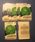  Lot of 25 Old Vintage 1940's LETTUCE Big Boston - SEED PACKETS - Empty