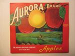  Lot of 50 Old Vintage - AURORA - Apple LABELS - Dayton Washington 