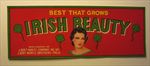  Lot of 25 Old Vintage 1930's - IRISH BEAUTY - Crate LABELS - Shamrocks