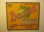  Lot of 100 Old Vintage - BACHAN - APPLE Crate LABELS - Watsonville CA.