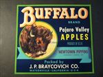  Old - BUFFALO - Apple Crate LABEL - Western Theme - Watsonville CA. 