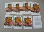  Lot of 50 Old - ZINNIA - Peppermint Stick - Flower SEED PACKETS  Empty