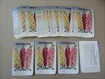  Lot of 50 Old Vintage - SNAPDRAGON - Flower SEED PACKETS - Empty