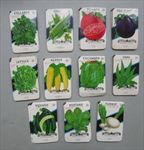  Lot of 275 Old Vintage Vegetable SEED PACKETS - 15 cent - EMPTY - 11B