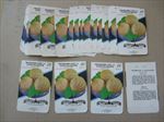  Lot of 50 Old Vintage - CANTALOUPE - Rocky Ford - SEED PACKETS - Empty