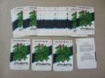  Lot of 50 Old Vintage - CASTOR BEAN - Ricinus - SEED PACKETS - Empty