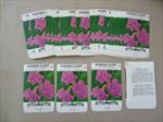  Lot of 50 Old Vintage - MORNING GLORY - Flower SEED PACKETS  Empty