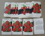  Lot of 50 Old Vintage 1950's ZINNIA Cupid Flower SEED PACKETS - Empty