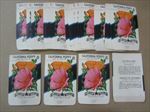  Lot of 50 Old Vintage - CALIFORNIA POPPY - Flower SEED PACKETS - Empty