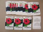  Lot of 50 Old Vintage 1950's PETUNIA Red - Flower SEED PACKETS - Empty