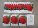  Lot of 50 Old Vintage - TOMATO - Earliana - SEED PACKETS - Empty