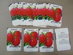  Lot of 50 Old Vintage - TOMATO - Improved Porter  SEED PACKETS - Empty