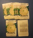  Lot of 25 Old Vintage 1940's SQUASH - White - Vegetable SEED PACKETS 