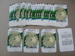  Lot of 50 Old Vintage - SQUASH - White Bush - SEED PACKETS - Empty