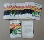  Lot of 50 Old Vintage - COCKSCOMB - FLOWER SEED PACKETS - Empty