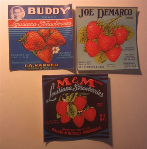 Lot of 3 Old Vintage c.1950's LOUISIANA STRAWBERRY Labels - Ponchatoula Hammond