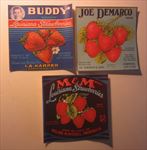 Lot of 3 Old Vintage c.1950's LOUISIANA STRAWBERRY Labels - Ponchatoula Hammond