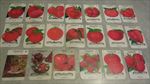 Lot of 20 Different Old Vintage 1960's-70's - TOMATO - SEED PACKETS - EMPTY 