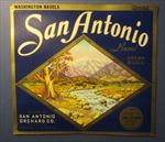  Lot of 25 Old Vintage - SAN ANTONIO - Orange Crate LABELS Ontario CA.